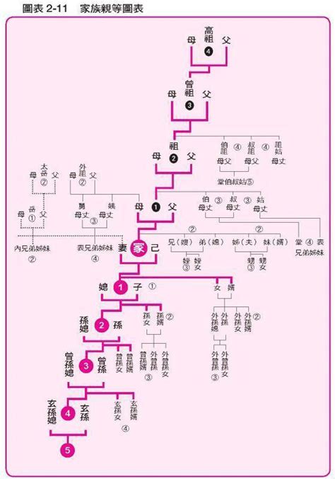 祖先稱謂台語|祖宗18代的稱呼＆親屬關係圖＆親屬稱謂客語讀音表（fam⁺ rhanˊ。